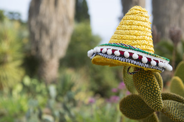Spanish cactus with hat