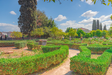 Fototapeta premium View on Park in the Hill of Palatine- Roman Forum. Rome. Italy.