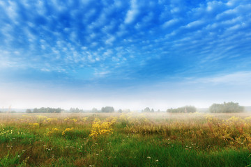 Fototapety  Krajobraz z mglistą łąką w czasie porannym
