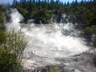 Fototapeta na wymiar Geothermal Mud Pool Rotorua, New Zealand
