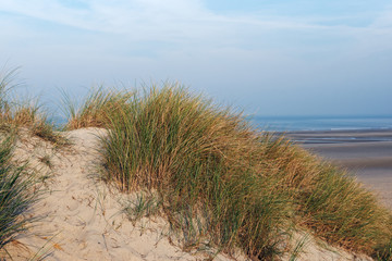 Fototapeta na wymiar Sand dunes in Picardy coast