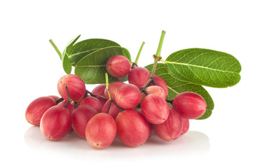 Carissa carandas Linn,Karanda, Carunda isolated on white background