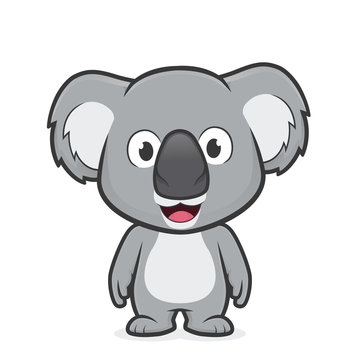 Koala standing