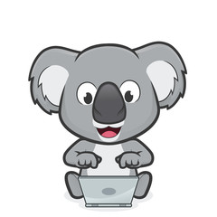 Koala with laptop