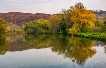 river in mountains among the forest in autumn