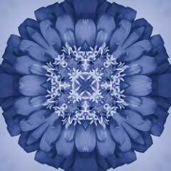 kaleidoscope flower
