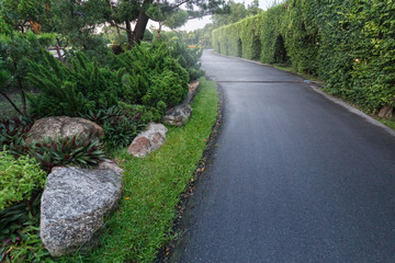 The road in the park