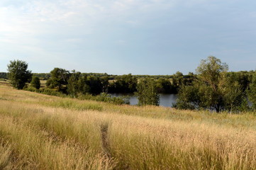 Summer landscape in the Altai Territory.