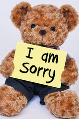 Teddy bear holding  yellow sign that says I am Sorry