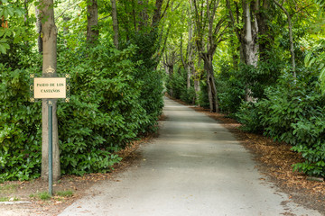 Gardens of the Campo del Moro, in Madrid