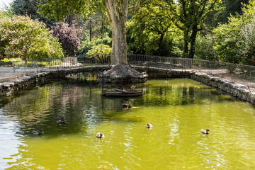 Obraz premium Gardens of the Campo del Moro, in Madrid
