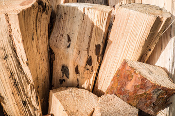 Chopped a tree for firewood. The texture of cut wood. Hiking fuel for camping. Natural chopped wood.