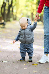 One year old baby boy in autumn park learning to walk with his mother.