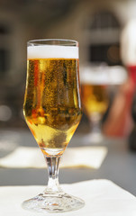 glass of beer on the table