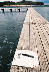 Startnummer &bdquo;Sieben&ldquo;