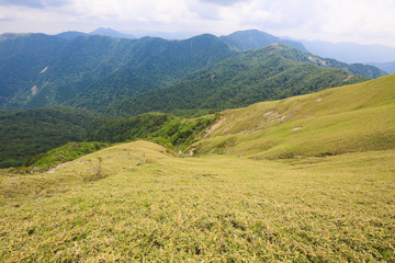 Fototapeta premium 徳島県三好市 三嶺 遊歩道からの風景