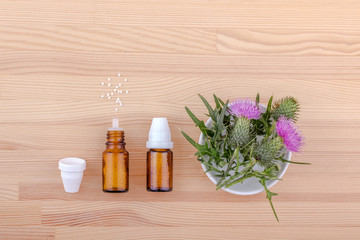 homeopathic medicine  / Mary thistle, homeopathic medicine  and copy space 