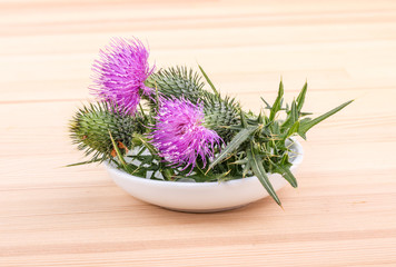 Milk thistle / Porcelain bowl with flowering Mary thistle 