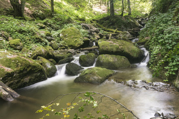 Fototapeta premium Forest waterfall , deep in forests of mountain Cemernik