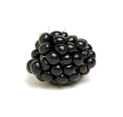 Blackberry isolated on white