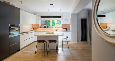 Kitchen in the house. Modern interior. Domestic things.