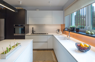 Kitchen in the house. Modern interior. Domestic things.