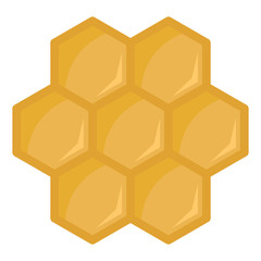 Honeycomb icon in flat style vector illustration for design and web isolated
