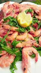 pink small shrimps close up