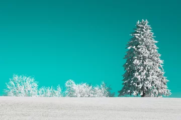 Winterimpression mal anders © photo-corona