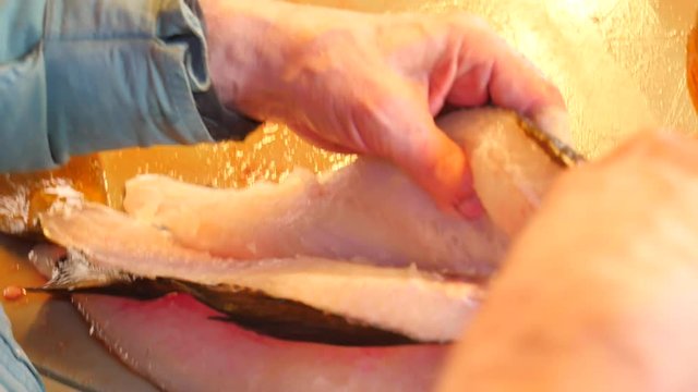 Hands cut fresh cod fish, remove and check livers. Hands control viscera and separation of fillets from bones. Hands cut fins, gills, check fish livers, removing guts. Freshly caught fish 