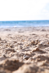 Fototapeta na wymiar Sand closeup - Summer by the sea