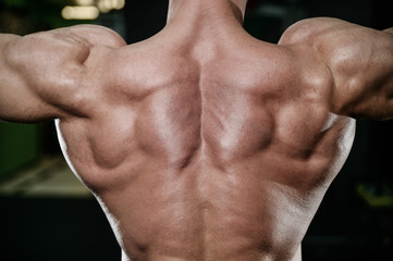 Fototapeta premium young man train in gym healthcare lifestyle sexy caucasian man