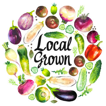 Watercolor illustration with round composition of farm illustrations. Vegetables set: pepper, cucumber, turnip, radish, eggplant, tomato. Fresh organic food.