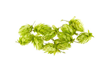 a bunch of hops on a white background