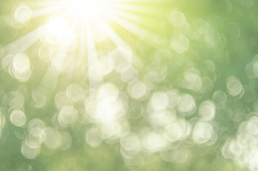 Copy space of nature green bokeh sun light flare and blur leaf abstract texture background.