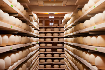 Fototapeta premium Cow milk cheese, stored in wooden shelves