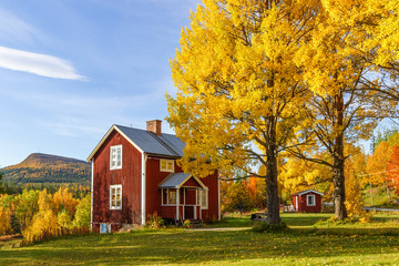 Cottage with garden with autumn colors in a mountain landscape