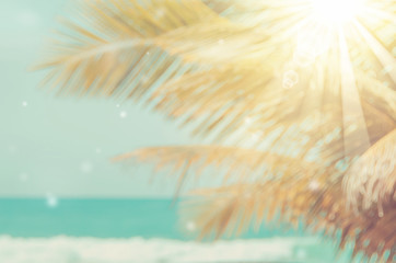 Fototapeta na wymiar Blur beautiful nature palm leaf on tropical beach with bokeh sun light wave abstract background.