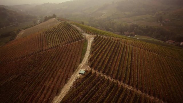 Vigneti e colline