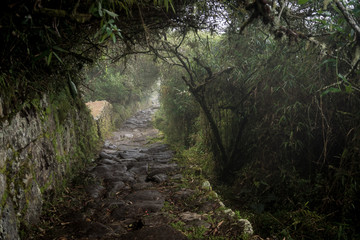 Treppenstufen auf dem Weg zum Sonnentor Inti Punku, Machu Picchu © schame87