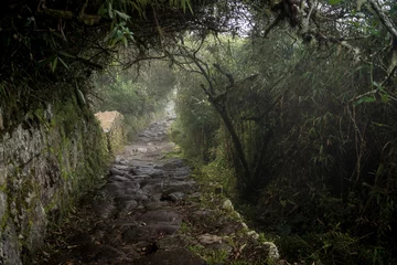 Foto op Plexiglas Stappen op weg naar de Sun Gate Inti Punku, Machu Picchu © schame87
