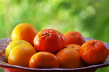 Fototapeta na wymiar Mandarins Tangerines Closeup, green background