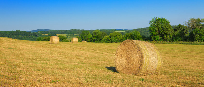 Hay Bales In The Suni Day.