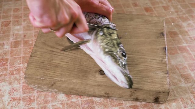 Hand with a knife cuts the fish head