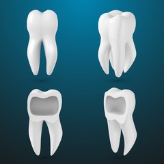 Illustration of Vector Realistic 3D Tooth Set. Healthy Teeth Set Care Vector Product Template