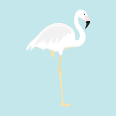 White flamingo vector