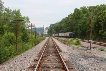 Fototapeta na wymiar The long railroad track in the wooded area.