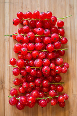 Currant
