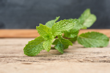 Fresh green mint leaf on old wood background