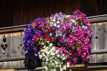 Fototapeta na wymiar Balcony flowers on a house in Kochel, Bavaria